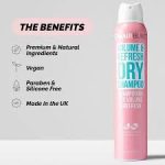 شامپو خشک هیر برست HAIRBURST - تصویر 2