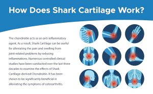 کپسول شارک کارتیلیج 750 میپل لایف 300 عددی HS-94-SHARKcartilage-maplelife 3 5153bee8 8ab7 4cde b0a8 215f6c88ea19. CR0038802400 PT0 SX970 V1