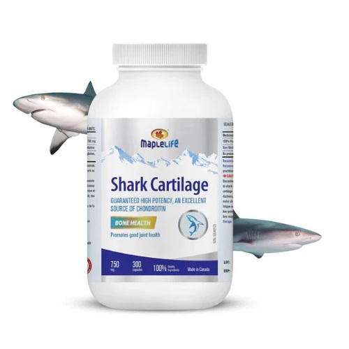 Maplelife-Shark-Cartilage-750mg-300-Capsules-1 کپسول شارک کارتیلیج 750 میپل لایف 300 عددی HS-94-SHARKcartilage-maplelife - Image 1